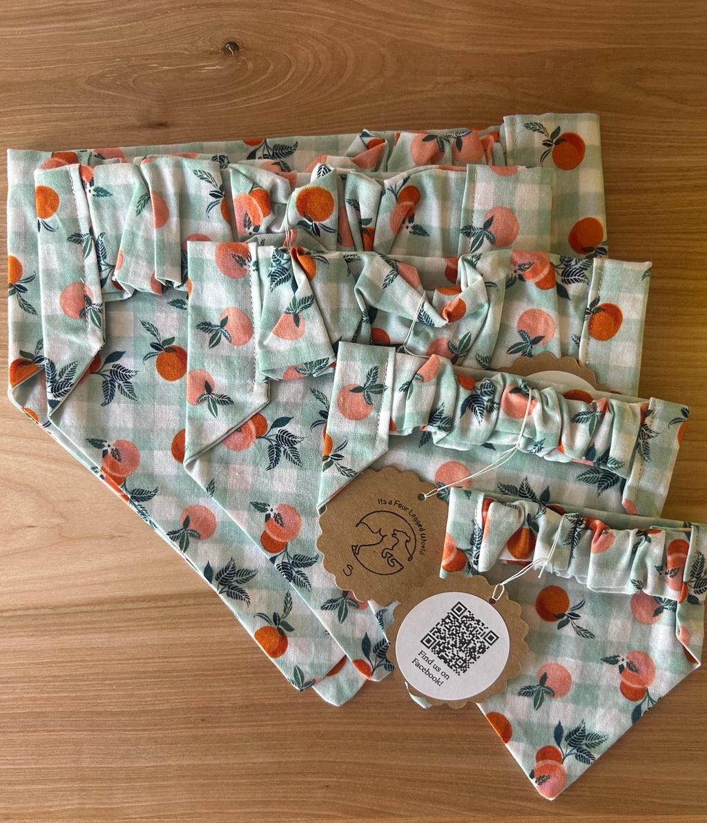 Pet Bandana