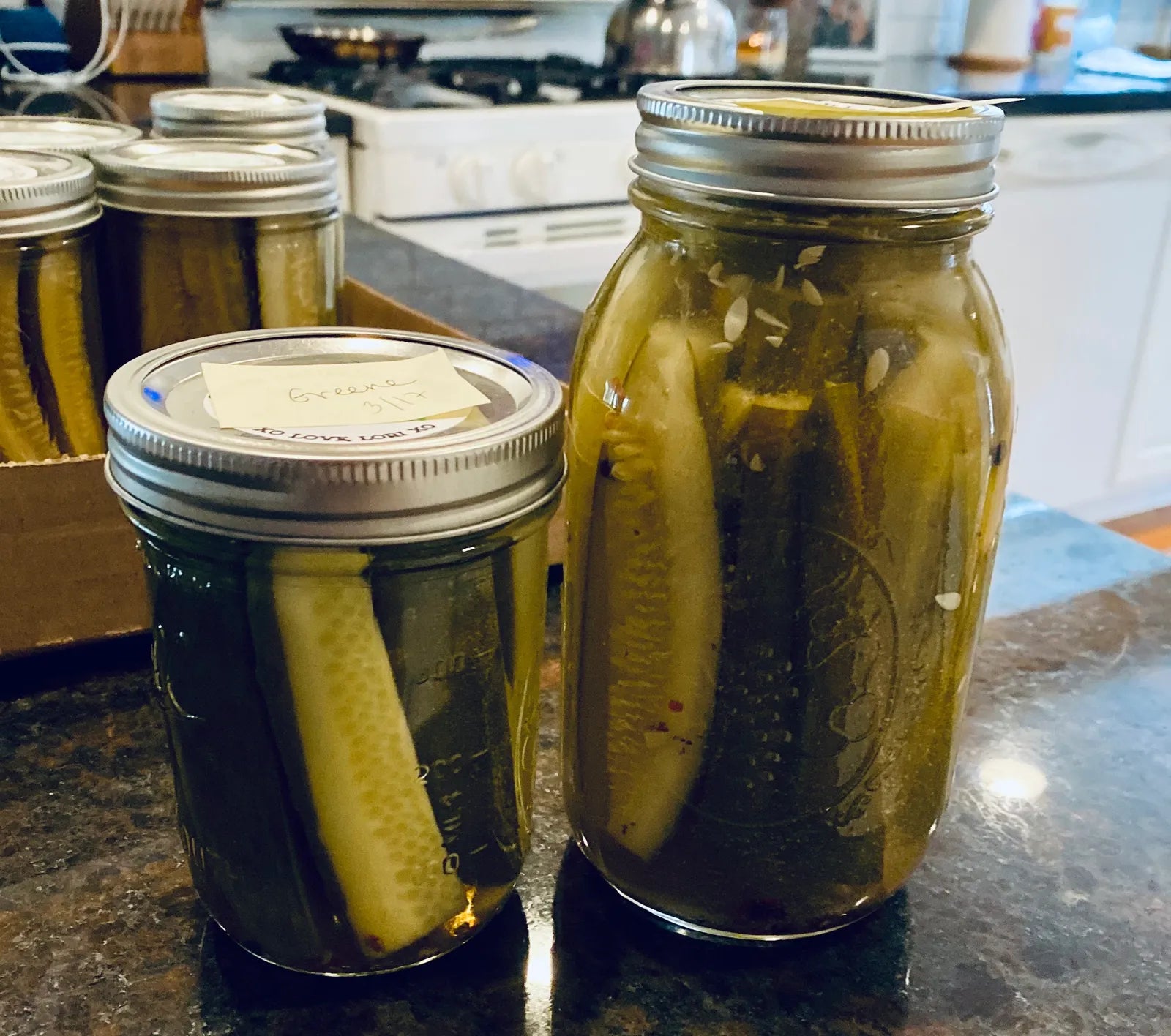 Pickles (Garlic Dill)